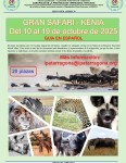 SAFARI A KENIA