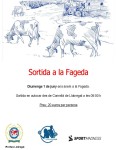 Visita a la Fageda d’en Jordà