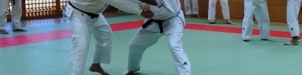 IPA INTERNACIONAL – IPA Newsletter – Febrero 2026