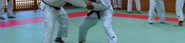 IPA INTERNACIONAL – IPA Newsletter – Febrero 2026