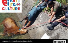 IPA INTERNACIONAL: Concurs Internacional de Fotografia IPA 2026