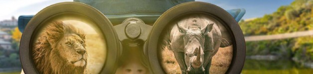 Campamentos de verano en Selwos (MALAGA)